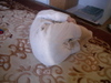 Rolling_1